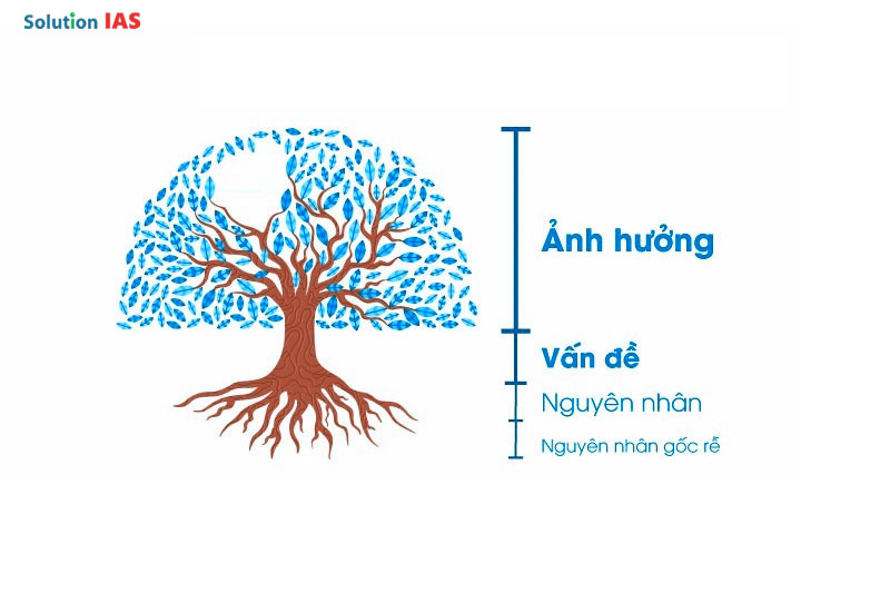 Nhận biết dấu hiệu hư hỏng và nguyên nhân gốc rễ