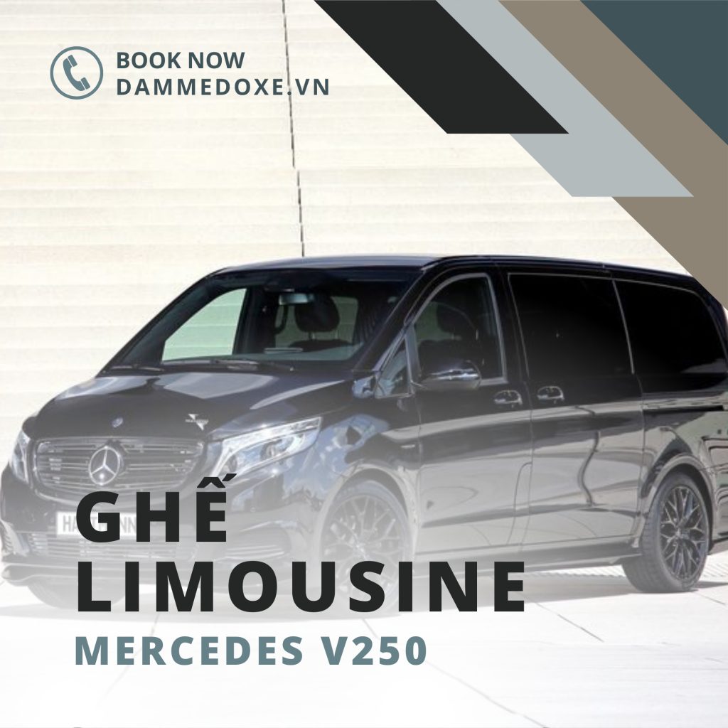 Các phiên bản và tùy chọn cấu hình ghế trên V250