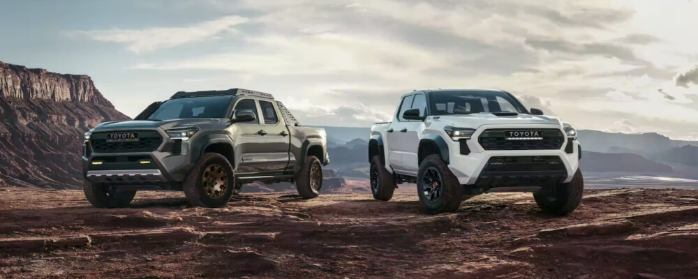 Các phiên bản (Trim Levels) của New Toyota Tacoma 2024: Ưu nhược điểm và lựa chọn phù hợp