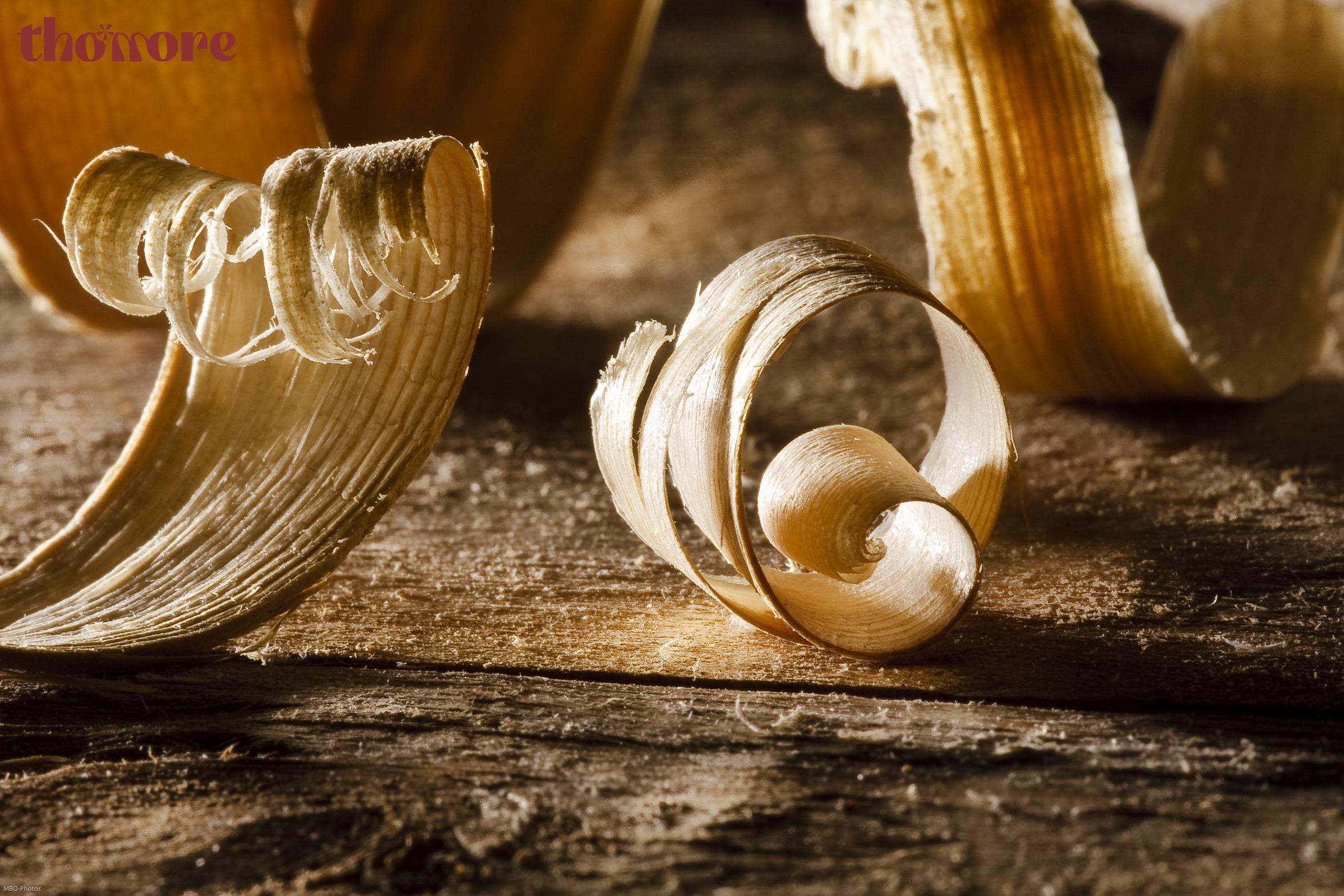 Đặc trưng mùi hương: Từ hương gỗ nam tính đến tươi mát hiện đại