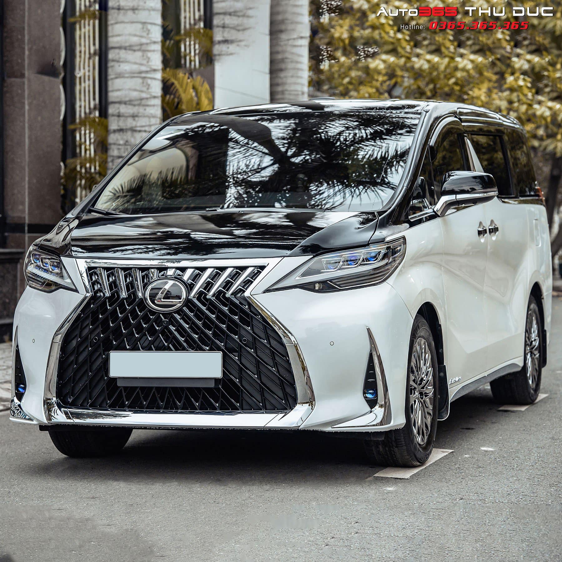 Chi Phí Độ Toyota Alphard: Tổng Hợp Các Khoản Đầu Tư và Lời Khuyên Tiết Kiệm