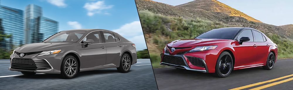 Toyota Camry 2024: So sánh các phiên bản (LE, SE, XLE, XSE, TRD) và lựa chọn phù hợp