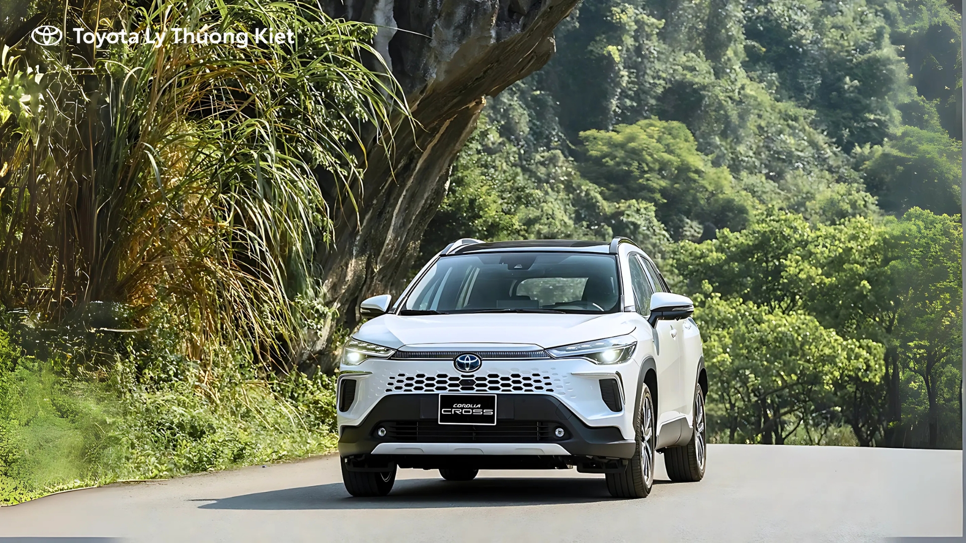 Đánh Giá Ưu và Nhược Điểm của Toyota Corolla Cross 2026 Hybrid Dành Cho Người Mua