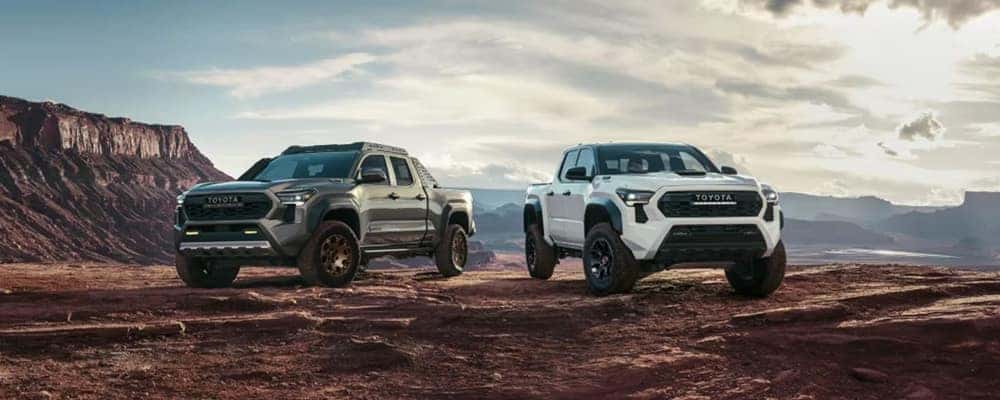 Toyota Tacoma Off Road: Ưu Điểm Vượt Trội & Phù Hợp Với Ai?