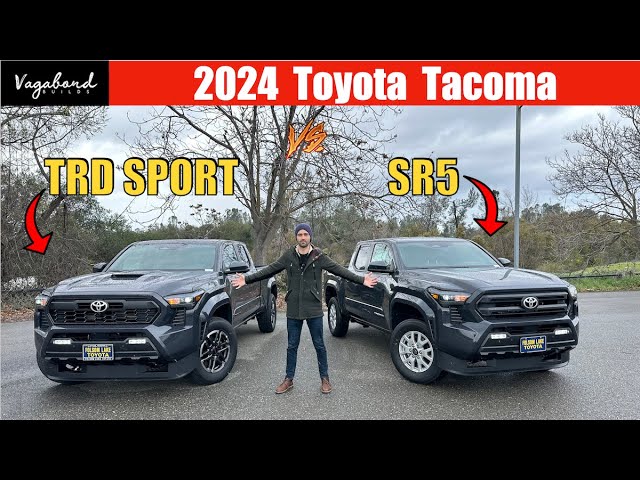 Toyota Tacoma Sport: So Sánh Các Phiên Bản và Giá Bán (Mới & Cũ)