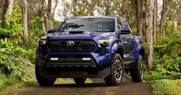 Toyota Tacoma Sport: Thiết Kế Nội/Ngoại Thất và Trang Bị Tiện Nghi