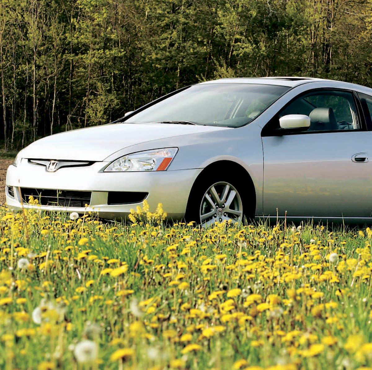 2004 honda accord coupe - Hình 2