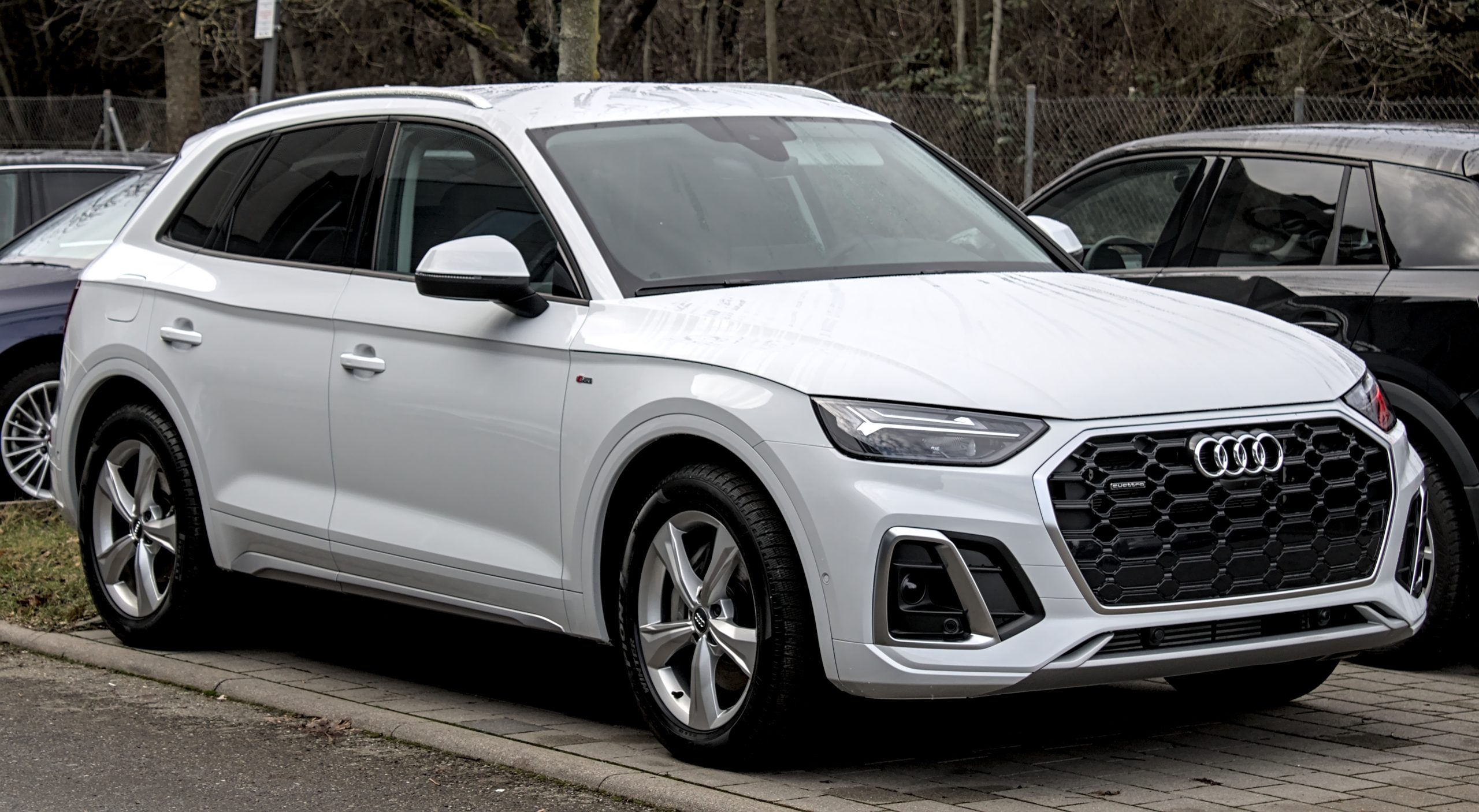 audi sq5 - Hình 3