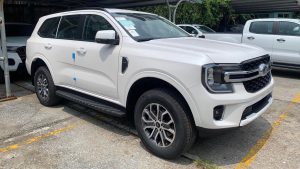 ban ford everest