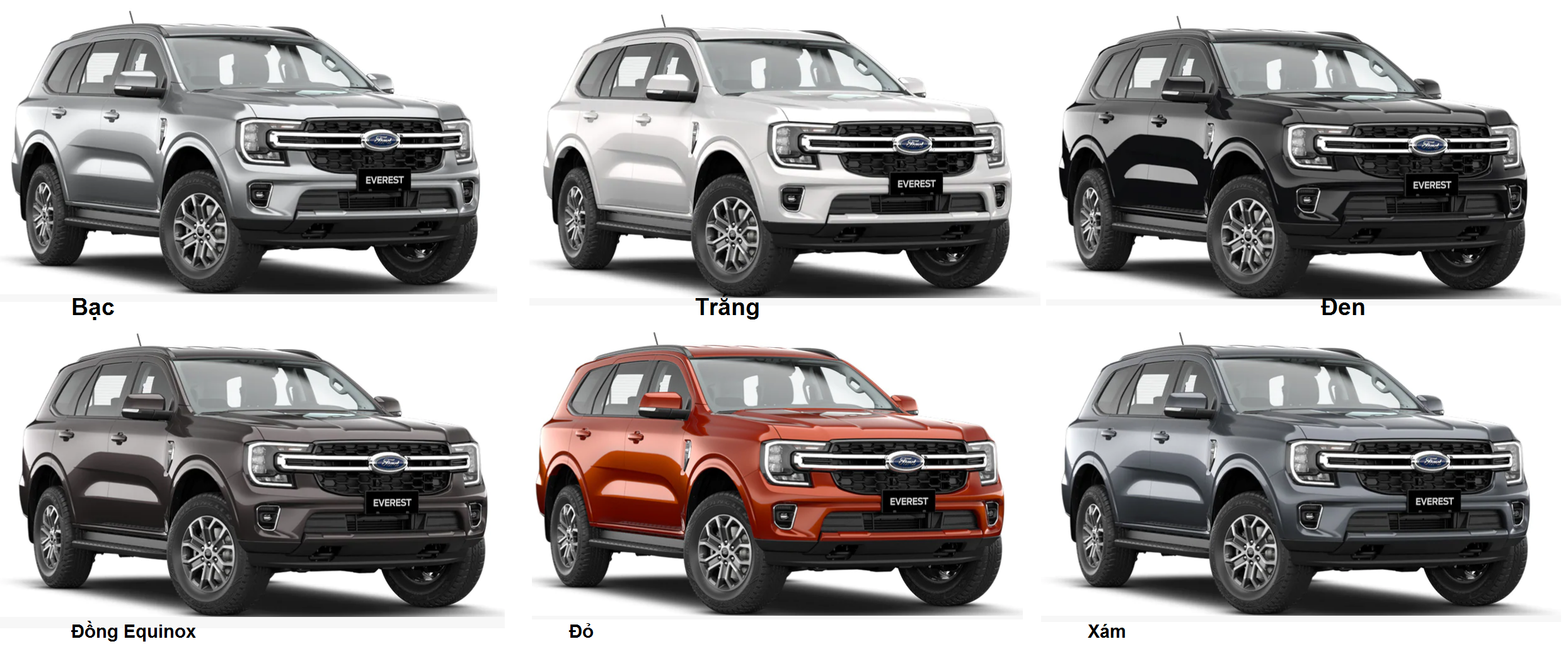 ban ford everest - Hình 4