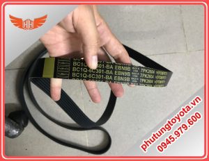 dây curoa ford transit