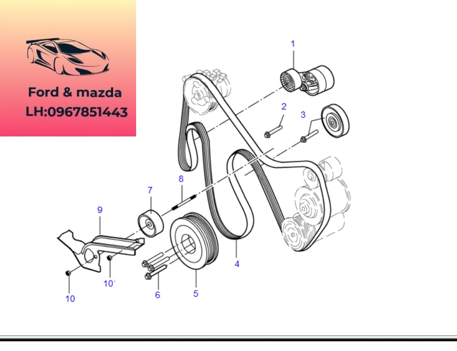 dây curoa ford transit - Hình 3