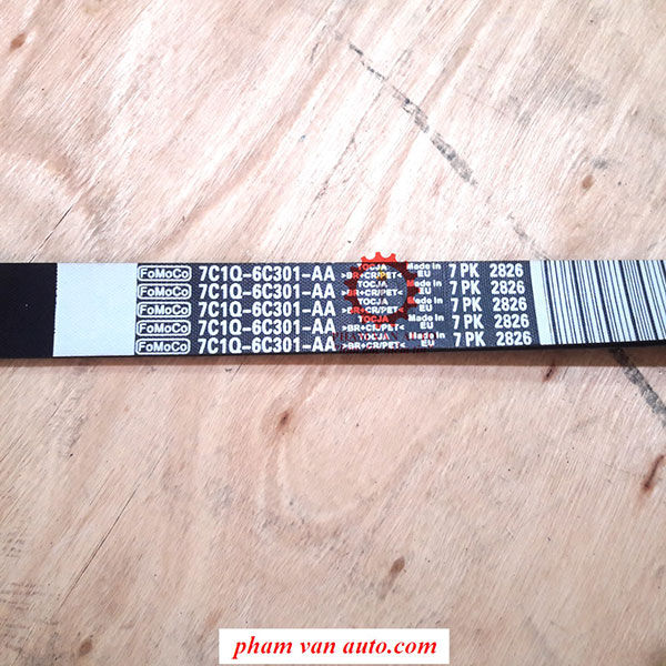 dây curoa ford transit - Hình 4