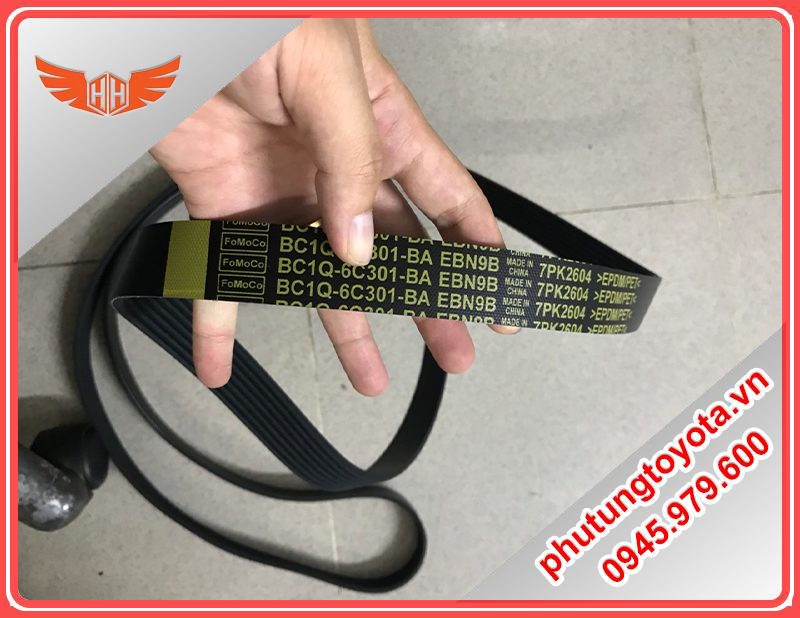 dây curoa ford transit