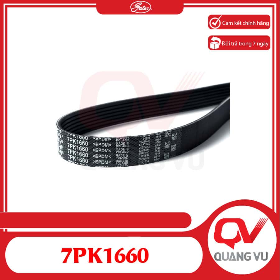 dây curoa honda civic - Hình 2