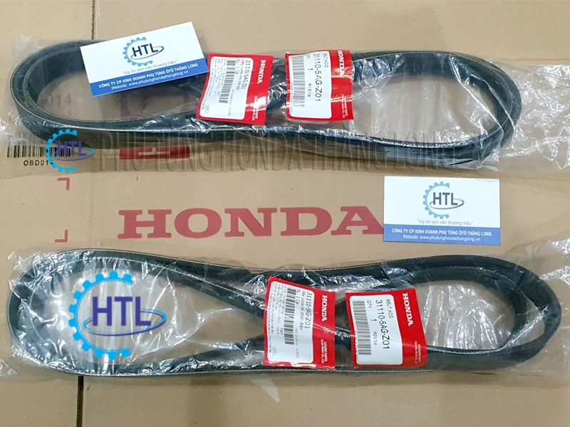 dây curoa honda civic - Hình 3