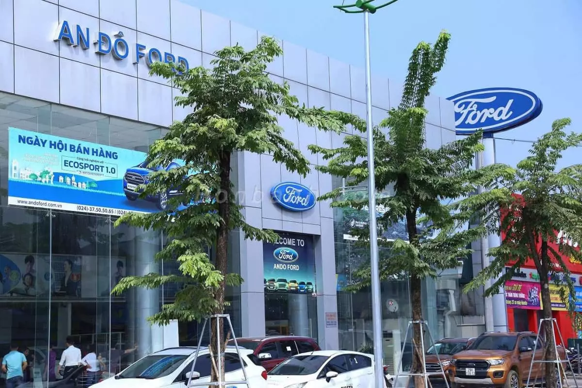ford an đô - Hình 4
