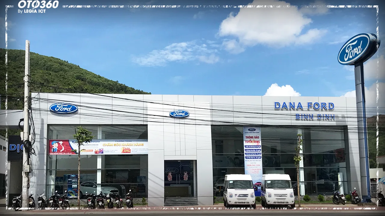 ford binh dinh - Hình 2