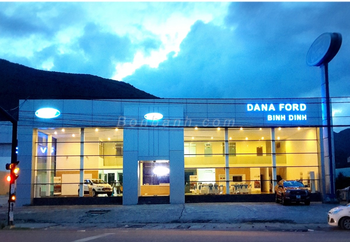 ford binh dinh - Hình 4