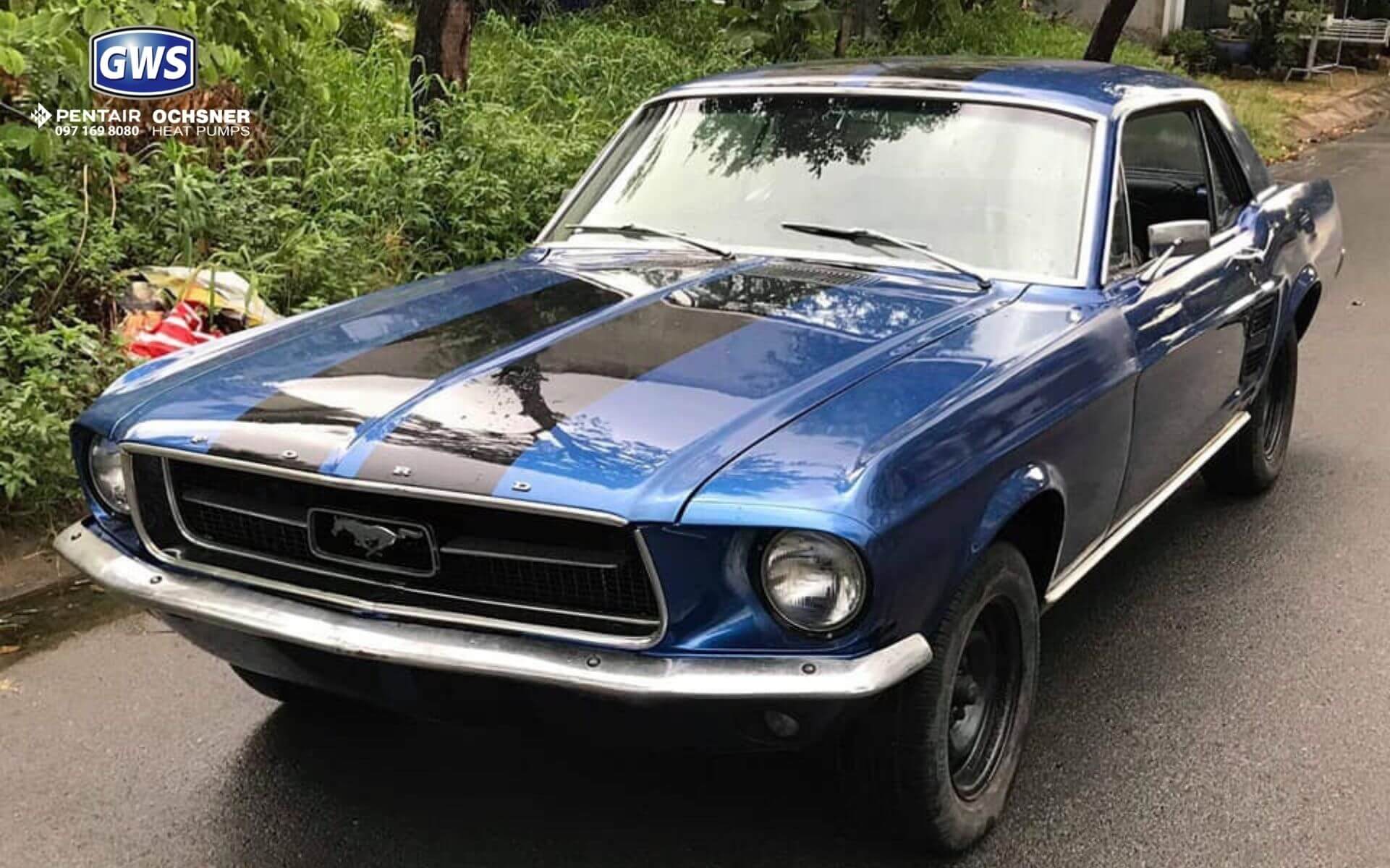 ford mustang 1967 giá