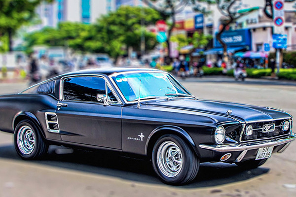ford mustang cổ - Hình 2