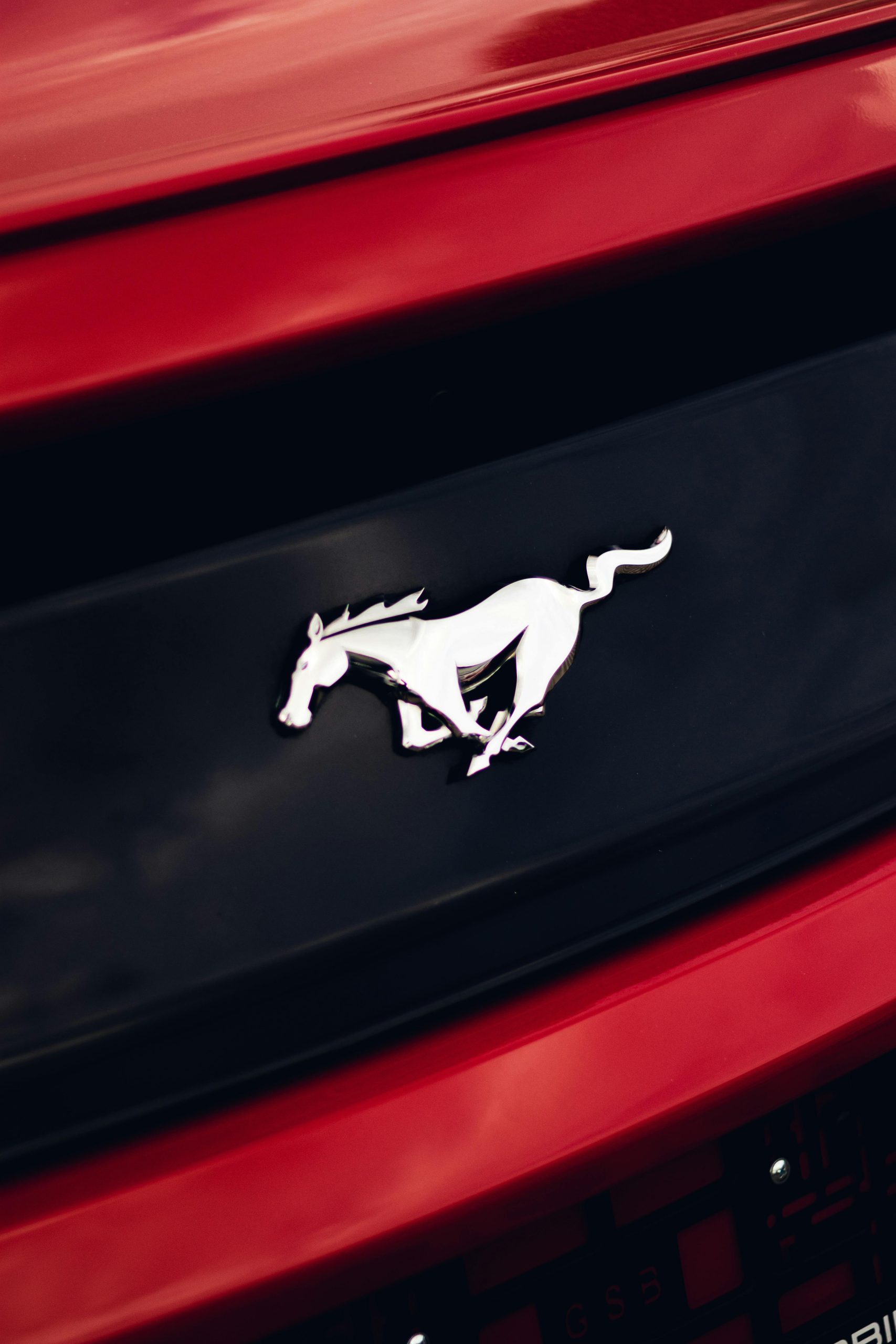 ford mustang logo - Hình 3