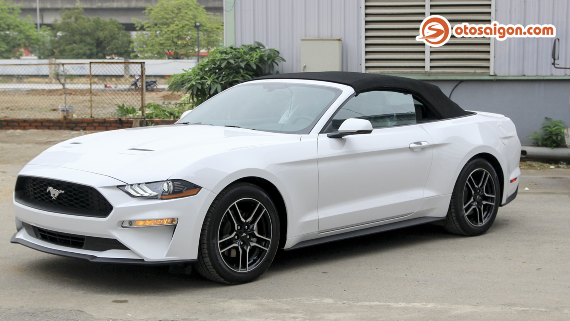 ford mustang mui trần - Hình 2