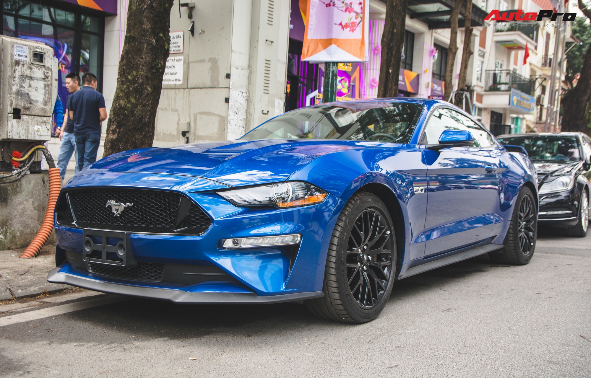 ford mustang vn - Hình 2