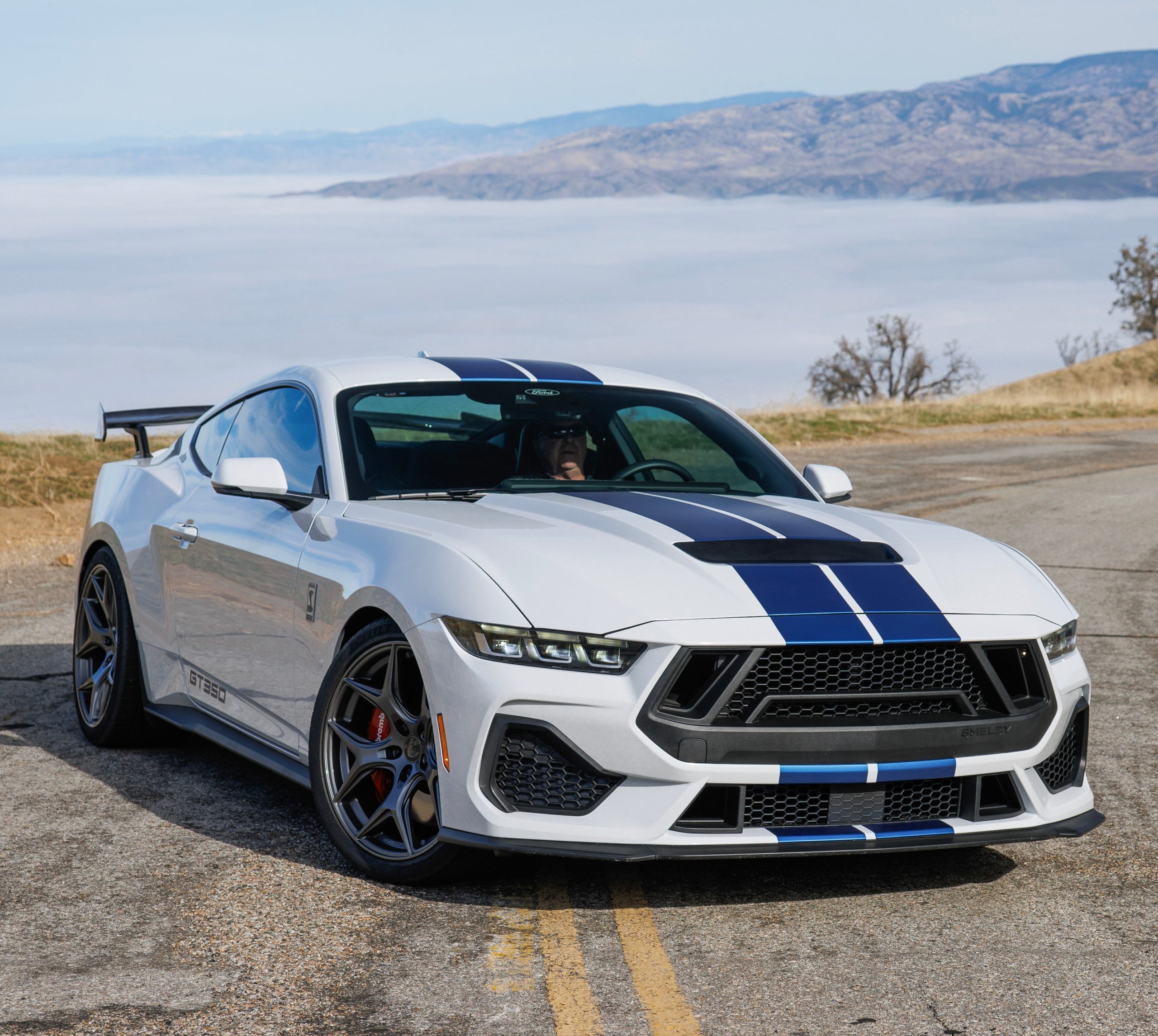 ford shelby - Hình 3