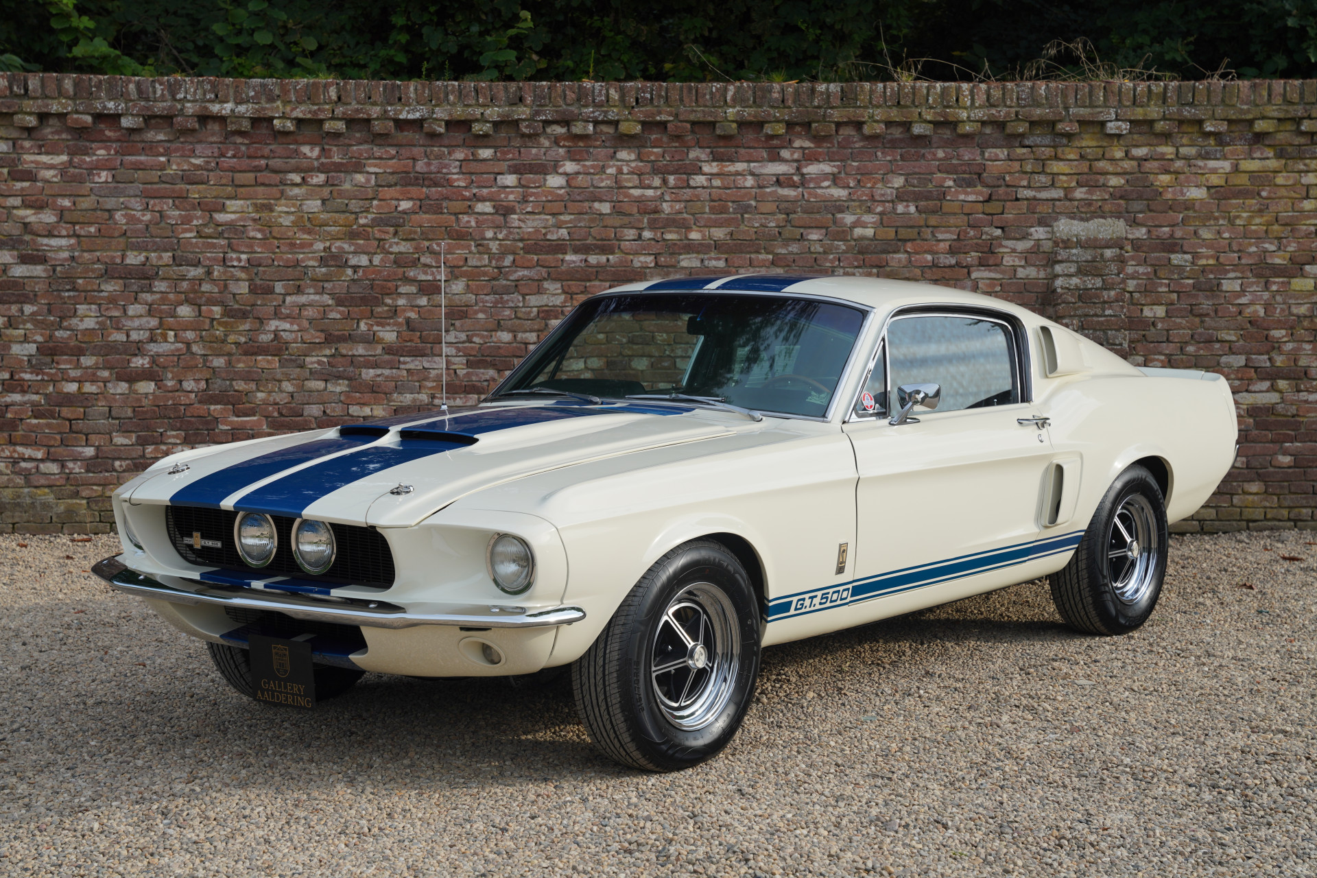 ford shelby gt500 - Hình 2