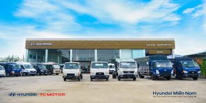 hyundai miền nam