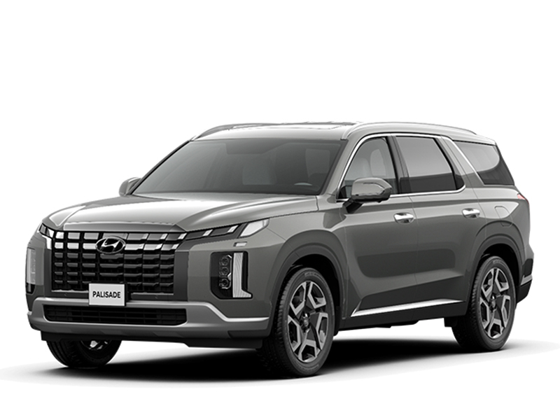 hyundai palisades - Hình 2