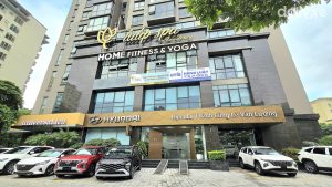 hyundai vũ phạm hàm