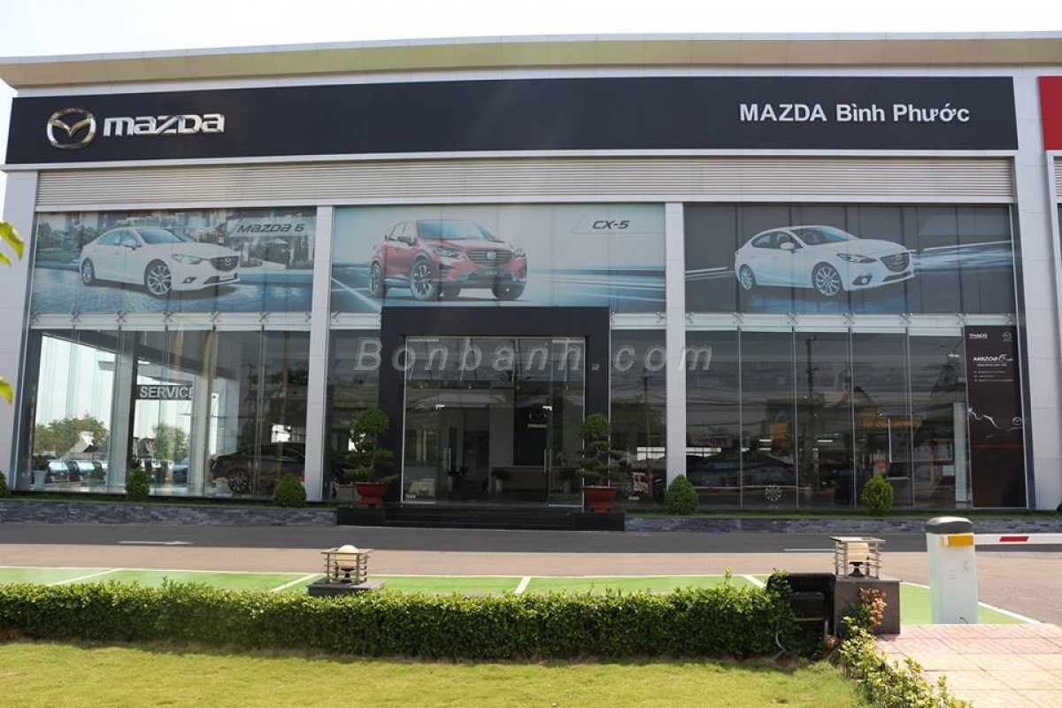 mazda bình phước - Hình 2