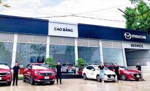 mazda cao bằng