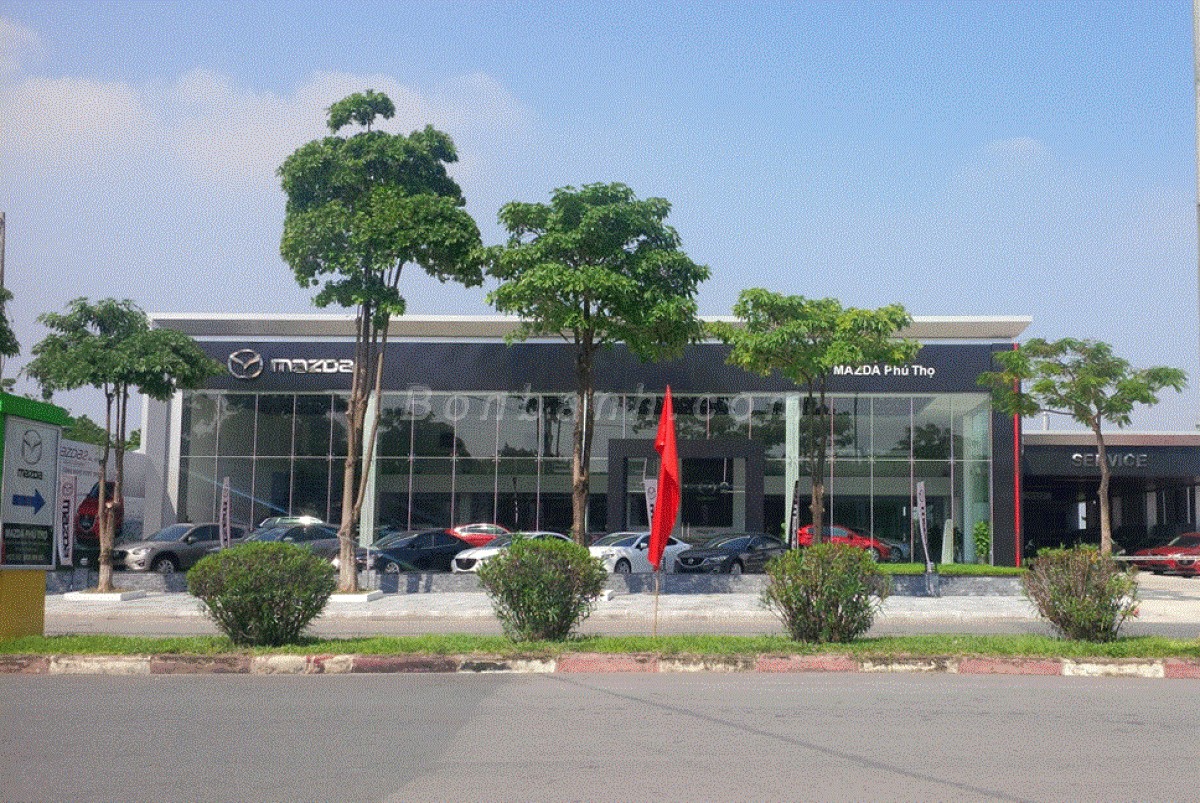 mazda phú thọ - Hình 4