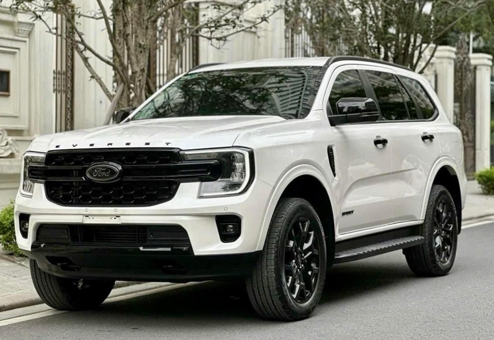 mua ford everest - Hình 2