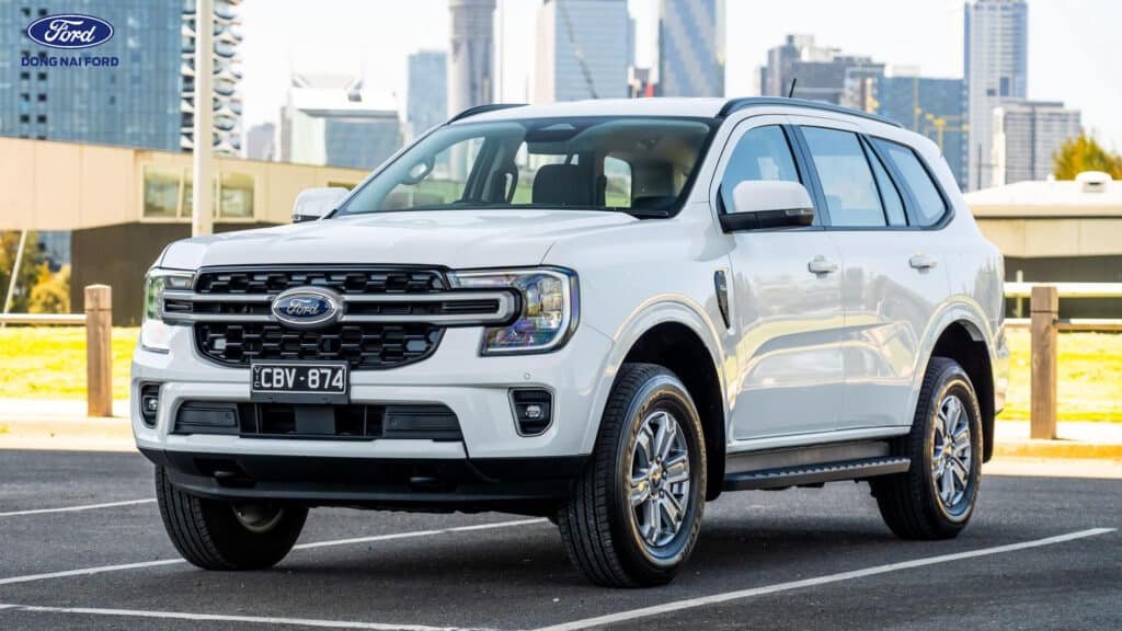 mức tiêu hao nhiên liệu của ford everest máy dầu - Hình 5