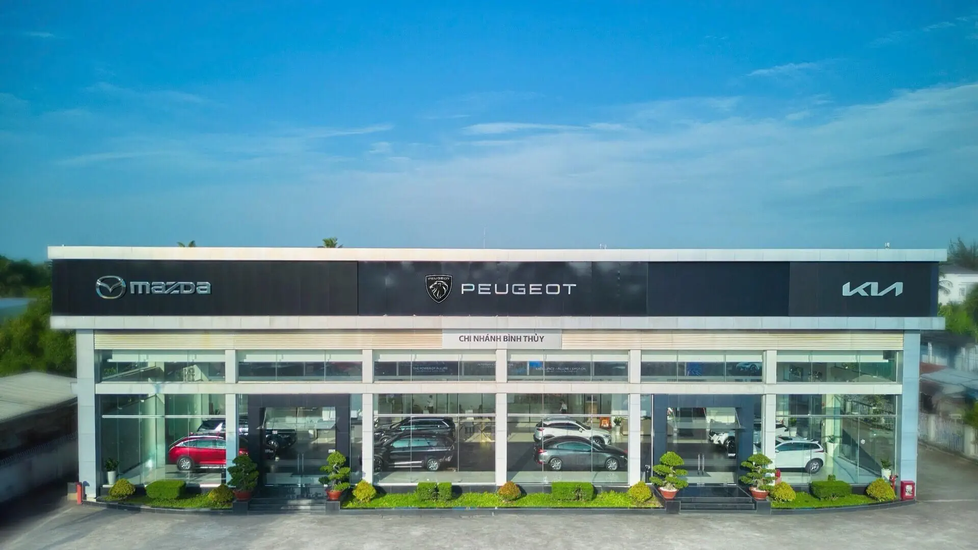 showroom mazda cần thơ - Hình 4