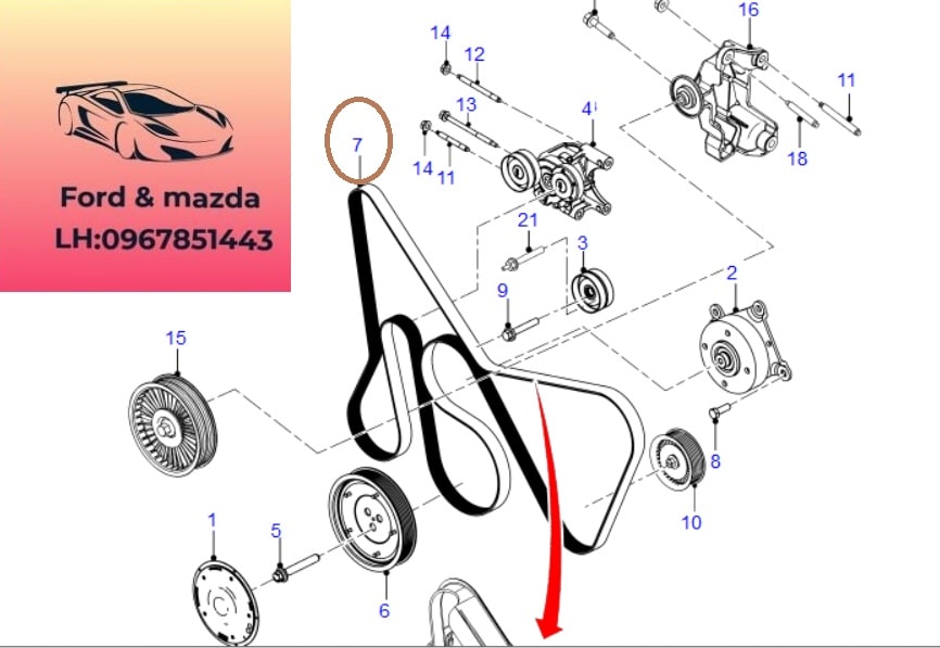 sơ đồ dây curoa ford ranger - Hình 2