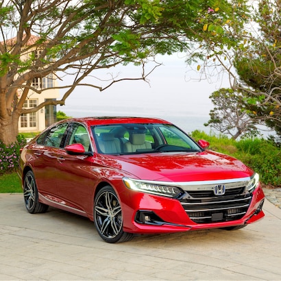 used honda accord - Hình 3