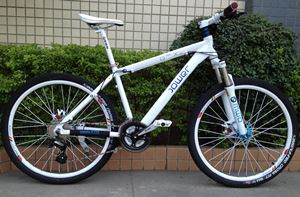 xe đạp bmw - Hình 2