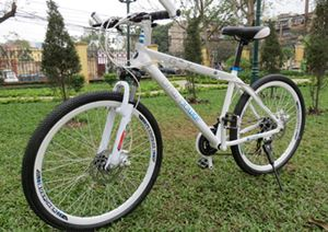 xe đạp bmw - Hình 5