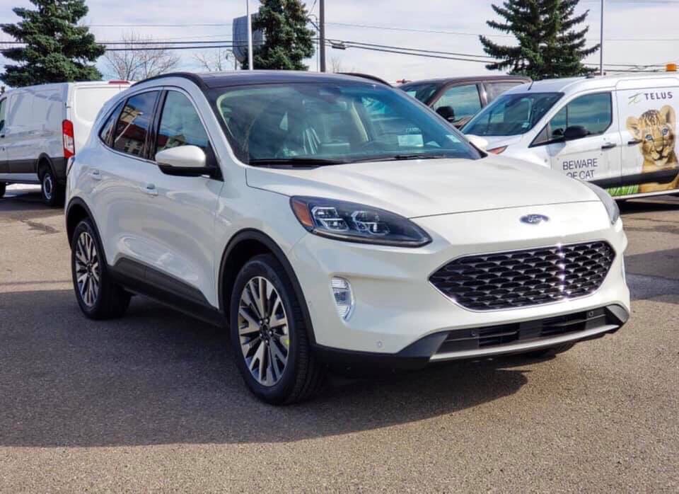 xe ford escape - Hình 2