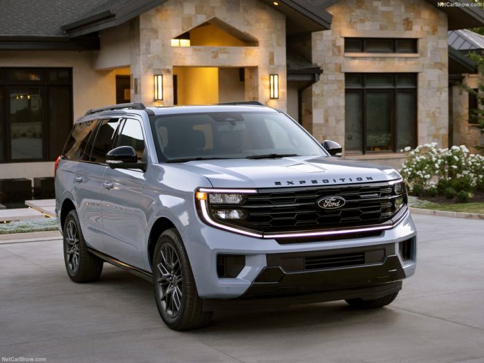 xe ford expedition - Hình 5