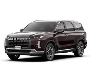 xe hyundai palisade