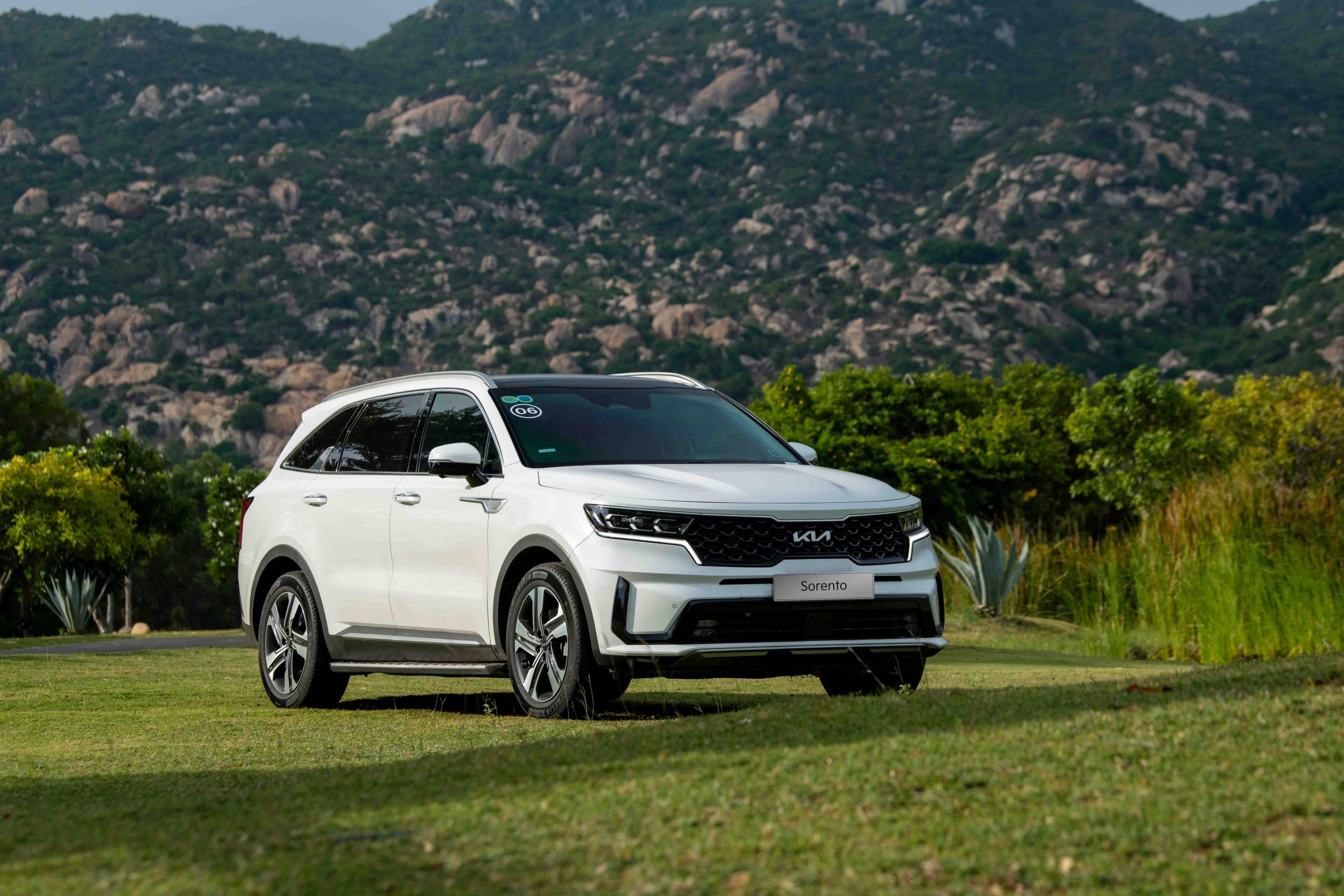 kia sorento máy dầu - Hình 3