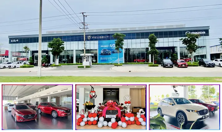 Review Chi Tiết Mazda Bình Thuận 2026: Đánh Giá Toàn Diện Dòng Suv Gia Đình Hàng Đầu