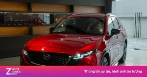 Tin Tức Mazda Mới Nhất 2026: Phân Tích Xu Hướng Công Nghệ Và Chiến Lược Thị Trường