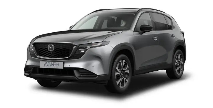 Đánh Giá Chương Trình Đào Tạo Lái Xe An Toàn Mazda Palencia Đánh Giá Chương Trình Đào Tạo Lái Xe An Toàn Mazda Palencia